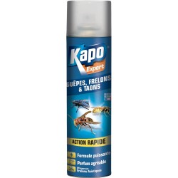 Insecticide guêpes, frelons...